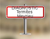 Diagnostic Termite AC Environnement  à Meyzieu